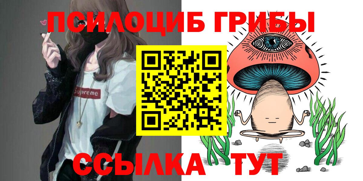 Псилоцибиновые грибы мухоморы  наркота  Серпухов  Вход с VPN 